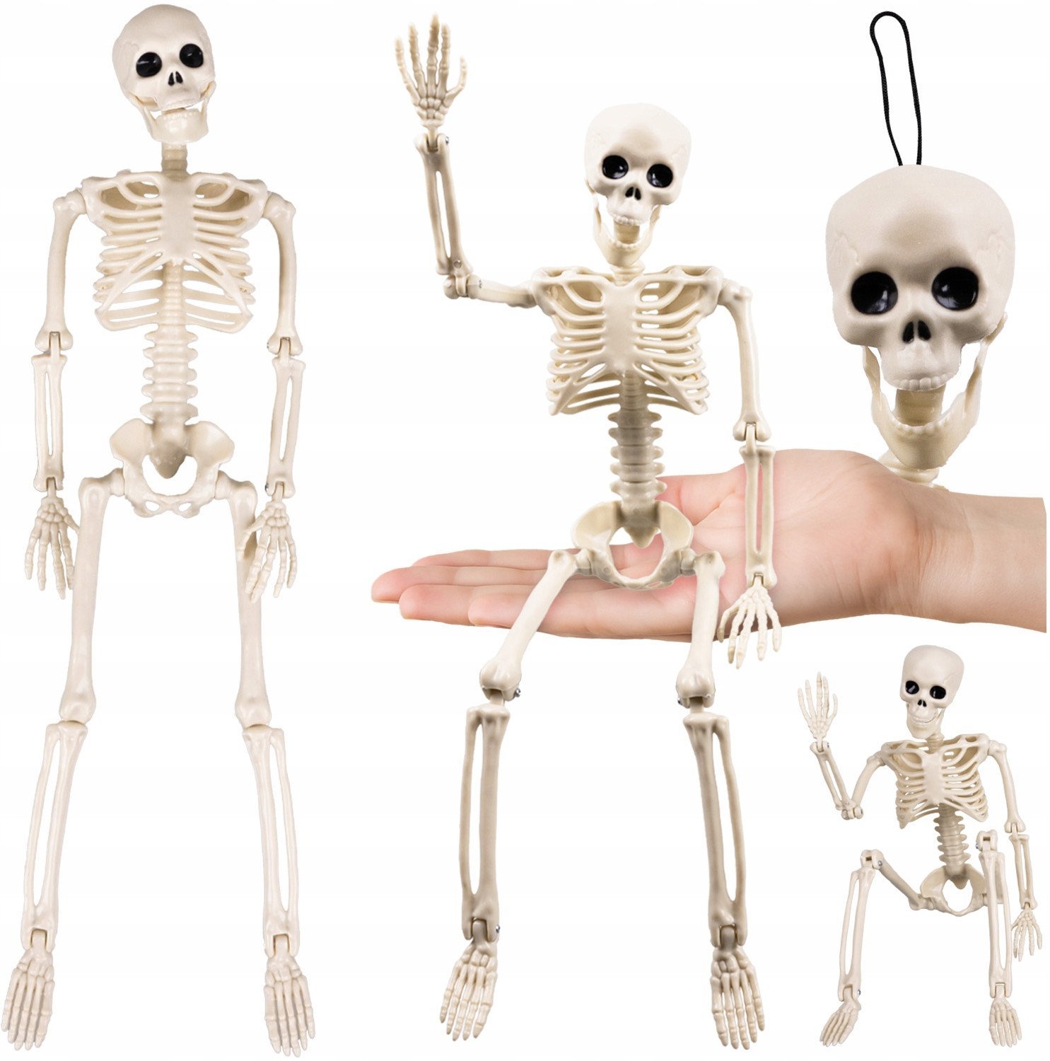 Szkielet - dekoracja 40cm Ruhhy 26027