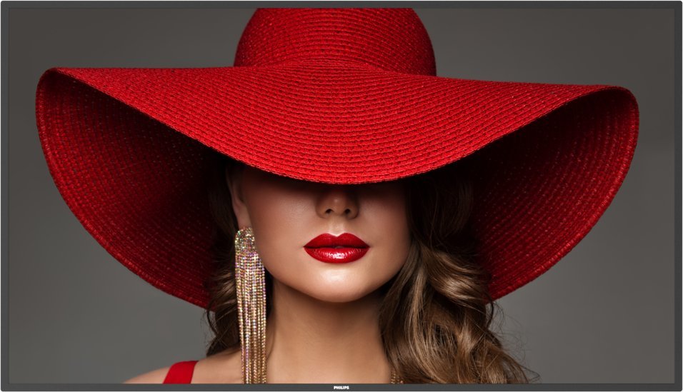 Monitor Philips D-Line 65BDL4650D/00