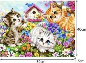 PrzydaSie Obraz Malowanie Po Numerach Zestaw Prezent Rama Diy Do Malowania