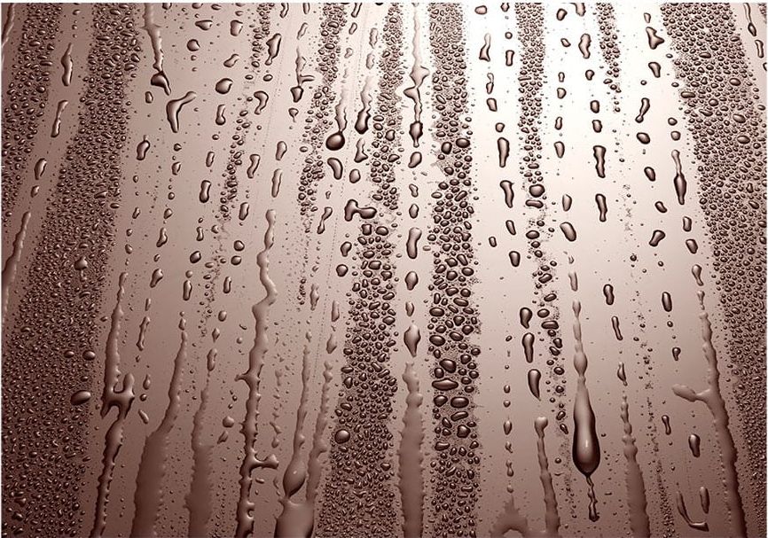 DecoNest Fototapeta - Jesienna mżawka - 250X175