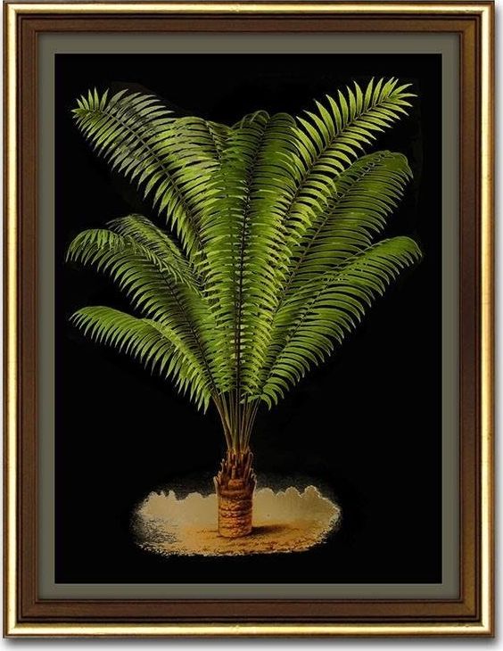 GO-BI Obraz - REPRODUKCJE NOWOŚCI 33x43cm