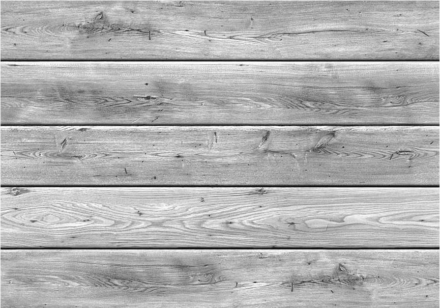 DecoNest Fototapeta - Szare królestwo - 400X280