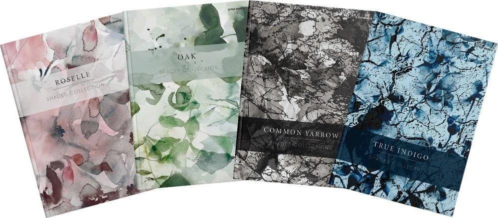 Top 2000 Brulion A4/96K kratka Shades (5szt)