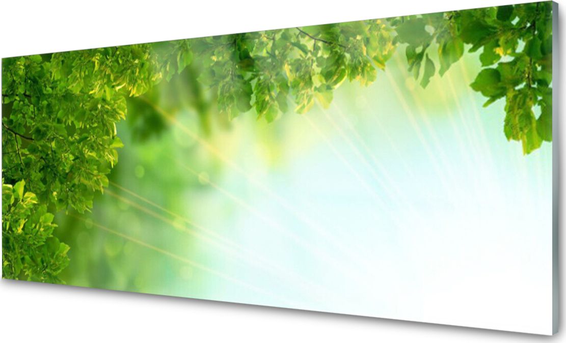 Tulup Obraz Akrylowy Liście Przyroda Roślina