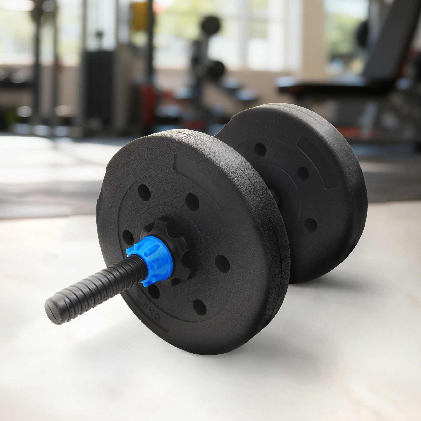 vidaXL Talerze obciążeniowe 4 pcs czarny 21 x 3.8 cm