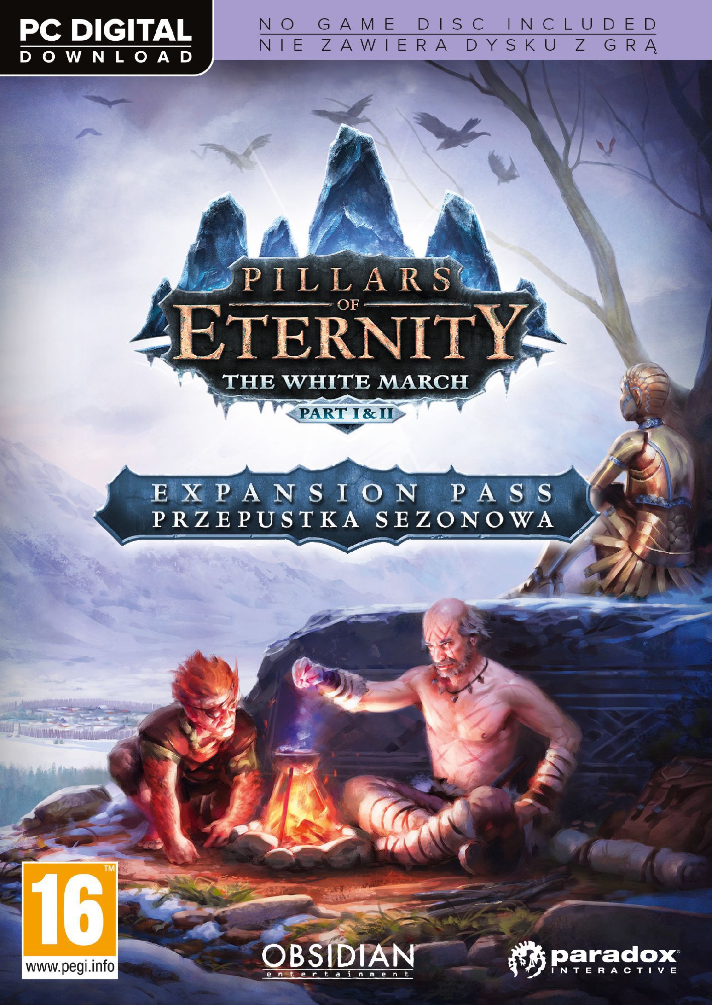 Pillars of Eternity: White March - Przepustka sezonowa PC, wersja cyfrowa