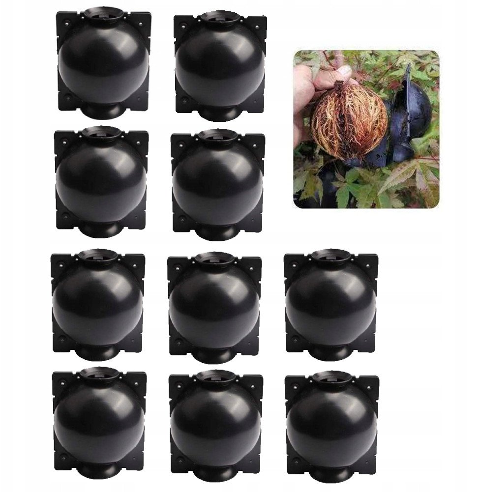 KULE Ukorzeniana SADZONKI Ukorzeniacz ROZMNAŻANIE Sad ROŚLIN KLONOWANIE 10x