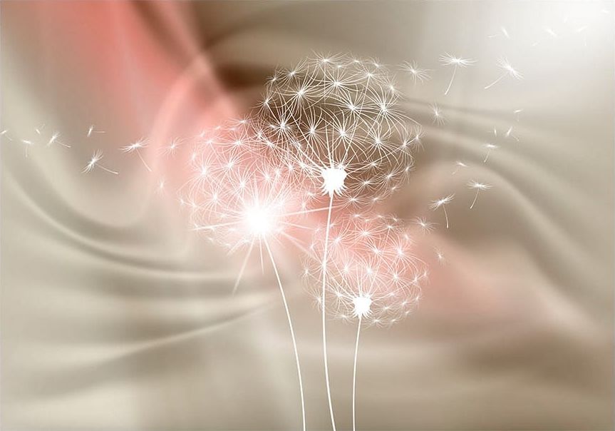 DecoNest Fototapeta - Okruchy dnia - 100X70