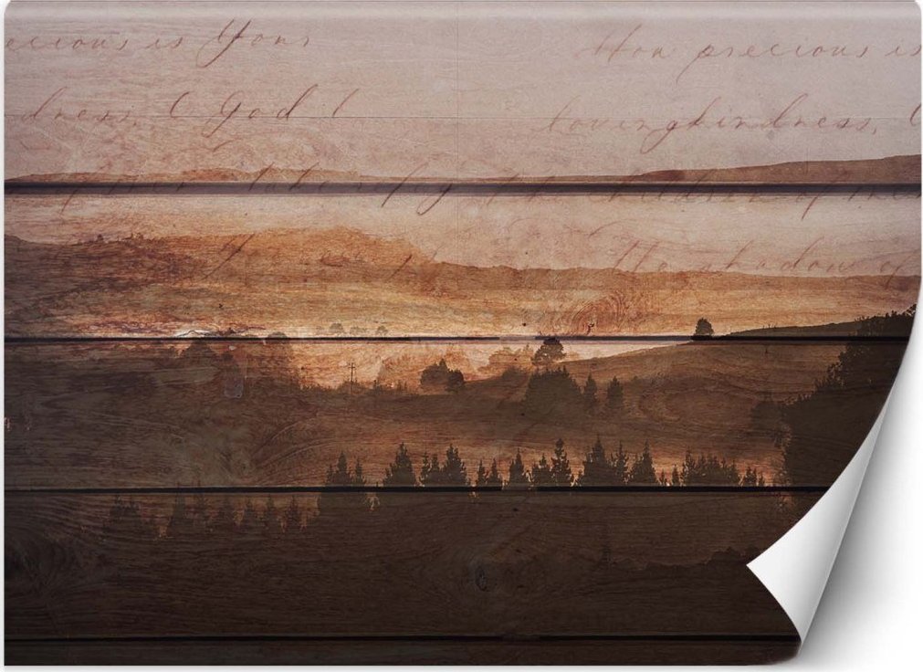 Feeby Fototapeta, Las deski vintage - 300x210