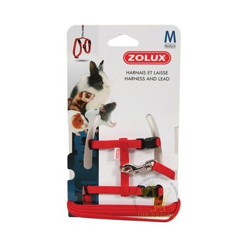 Zolux Szelki i smycz dla fretki M kol. czerwony