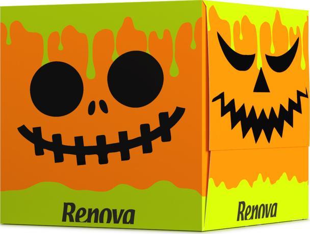 Renova Chusteczki wyciągane do twarzy Renova dynia 50 szt