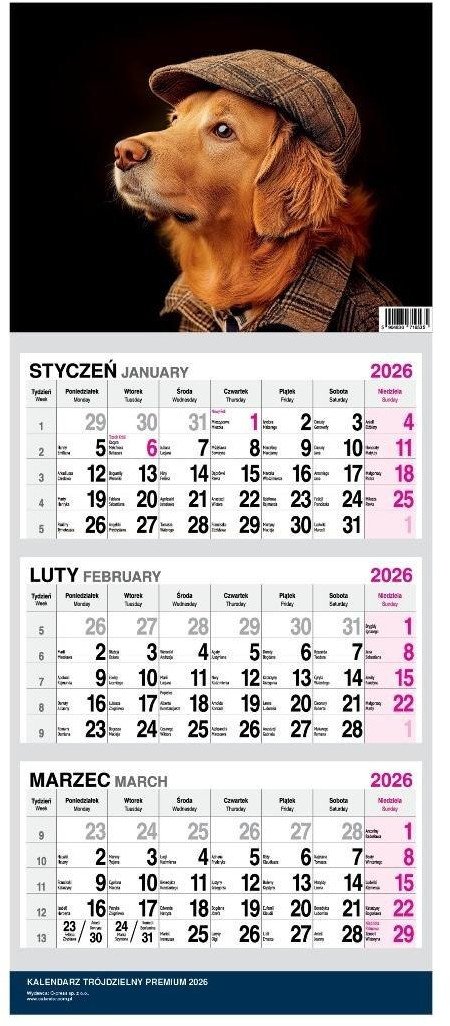 Kalendarz 2026 trójdzielny premium Pies