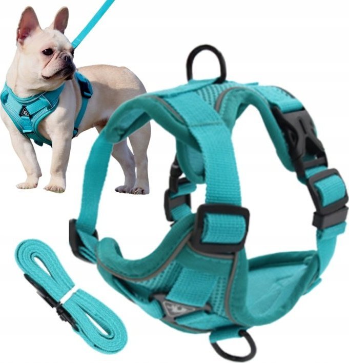 WeKnow SZELKI BEZUCISKOWE dla psa easy walk TINY M turkus