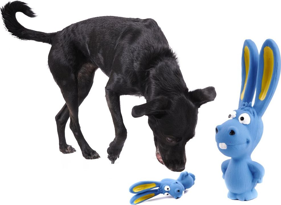 Zabawka dla psa gryzak gumowy królik 16,5cm