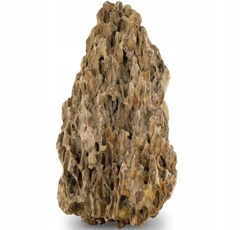 Skałka Smocza skała, M 20-30CM