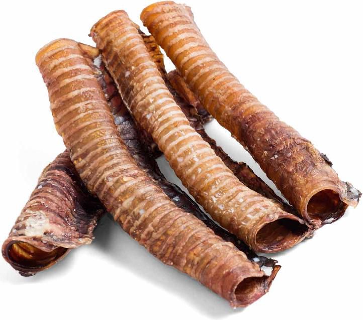 Arami TCHAWICA WOŁOWA CAŁA