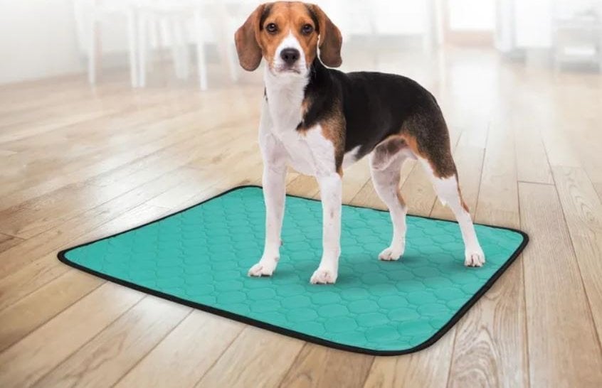 Sourcing REUSABLE ABSORB PADS GREEN 101X64.5CM