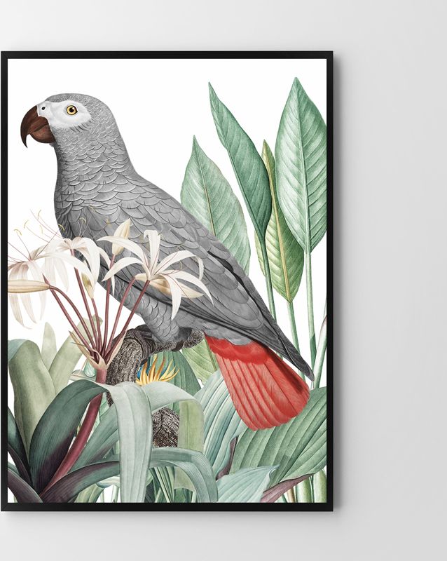 Hog Studio Papuga szara (30x40cm)