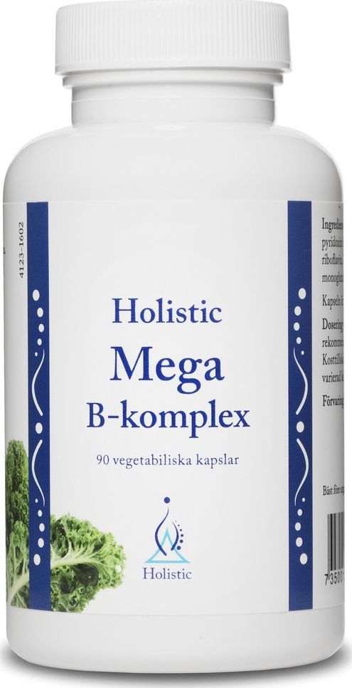 Holistic Holistic Mega B-Komplex Witaminy Z Grupy B Zestaw Witamin Metylokobalamina B12 Biotyna Kwas Foliowy Witamina B1 B2 B3 B6