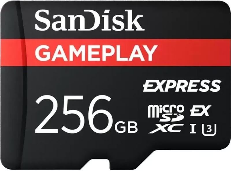 Karta SanDisk GamePlay MicroSDXC 256 GB Class 10 UHS-I/U3 V30 (SDSQXFN-256G-GN6GN)