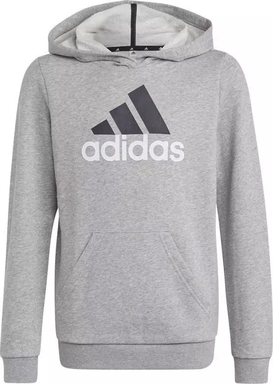 Adidas Bluza adidas Big Logo 2 Hoody HB4362
