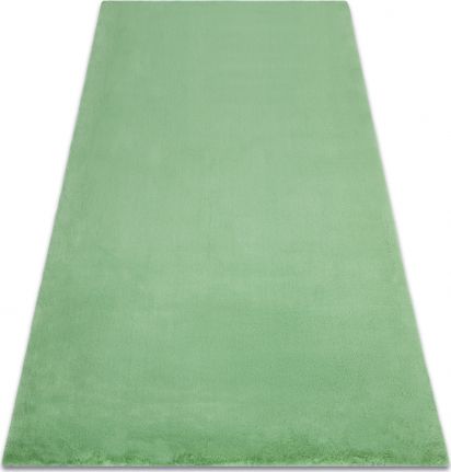 Dywany Łuszczów Dywan BUNNY zielony IMITACJA FUTRA KRÓLIKA, 160x220 cm