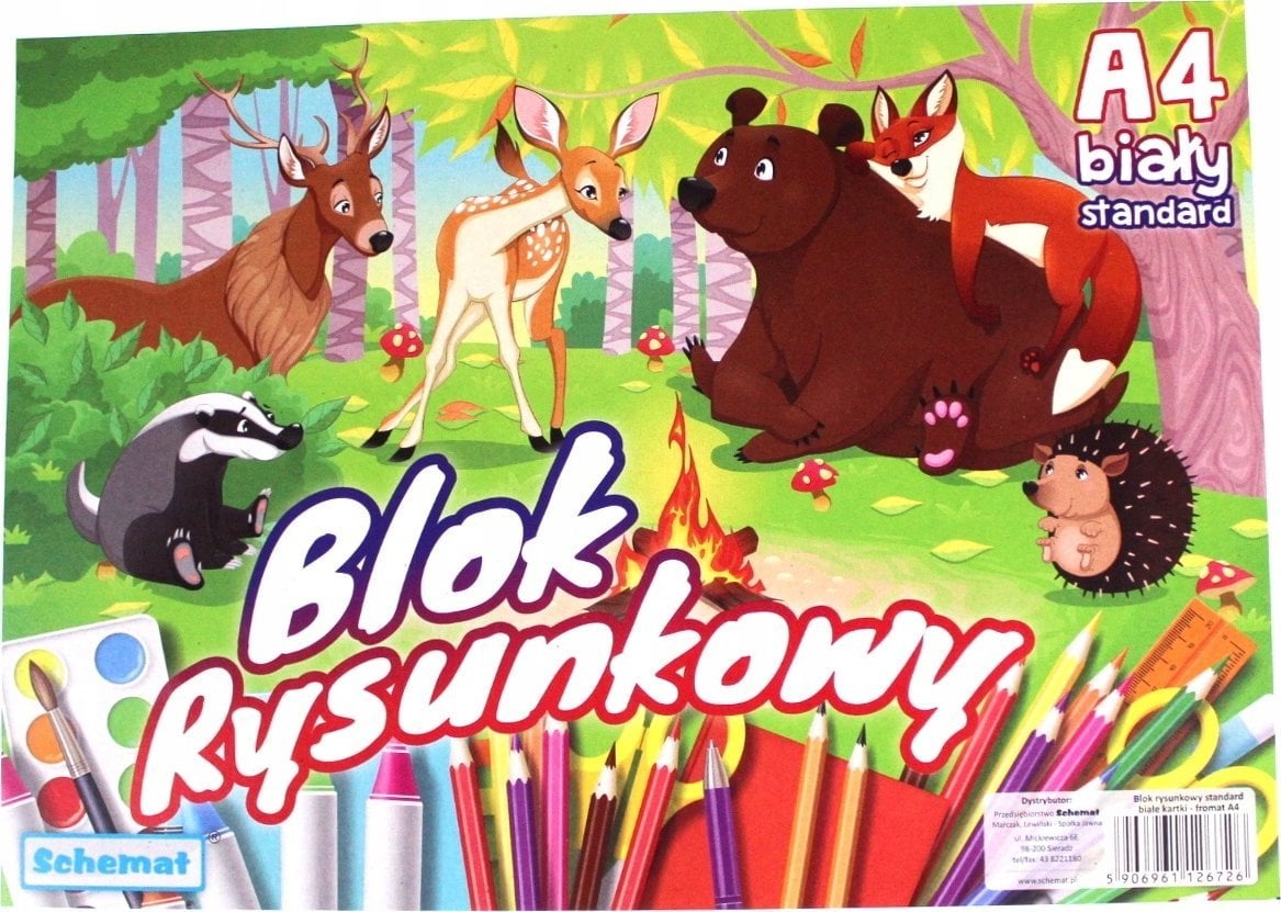 SCHEMAT Blok rysunkowy A4/20K 80g biały (10szt)