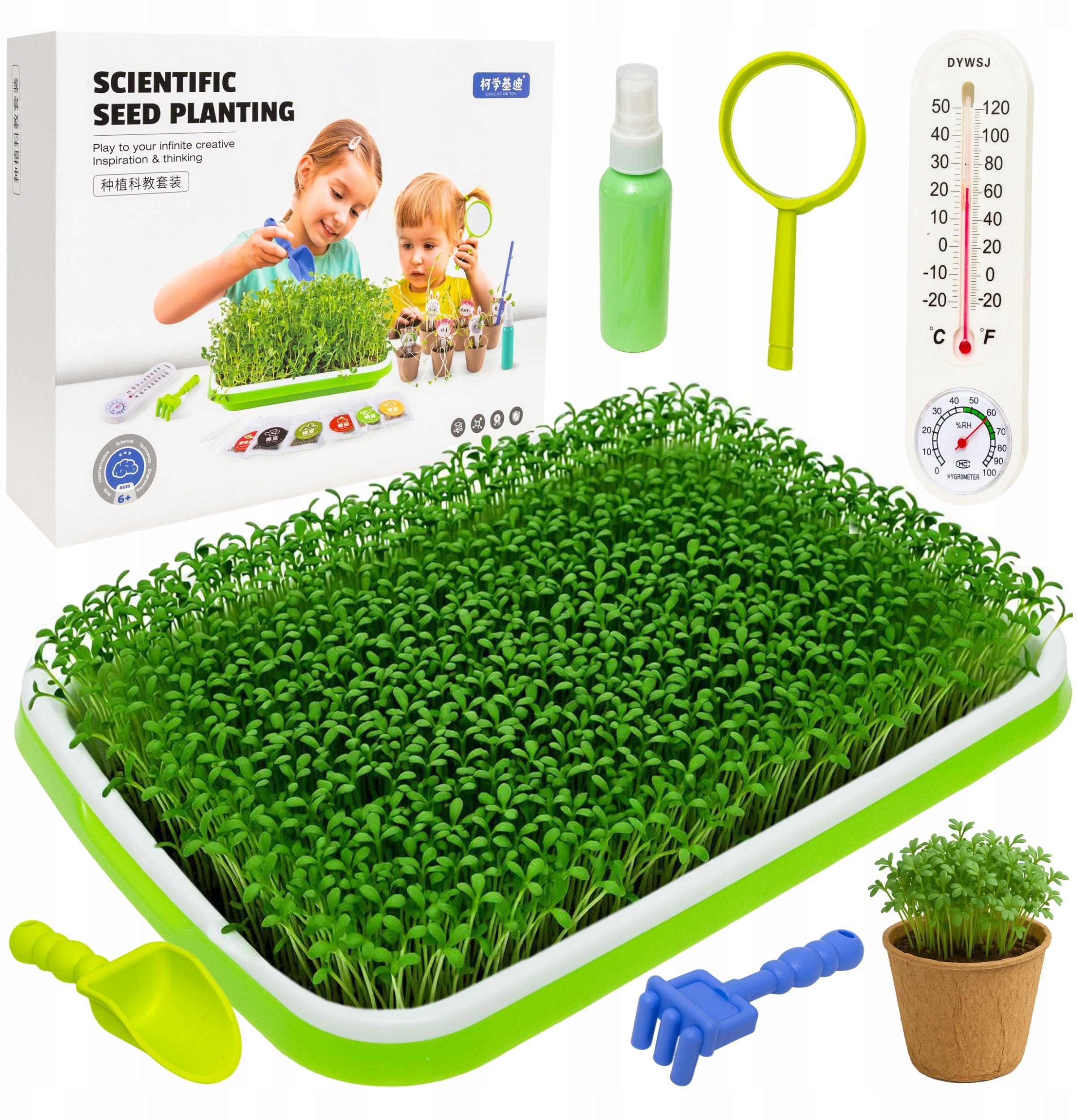 Kiełkownica Mini Ogród Dla Dzieci Uprawa Roślin Termometr + Akcesoria
