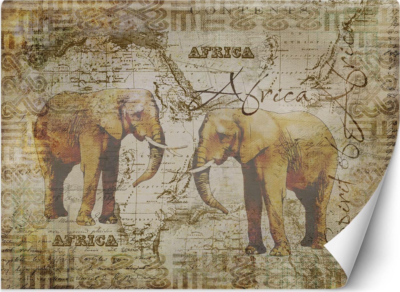 CaroGroup FOTOTAPETA DO SALONU Safari Afryka Słonie 350x245