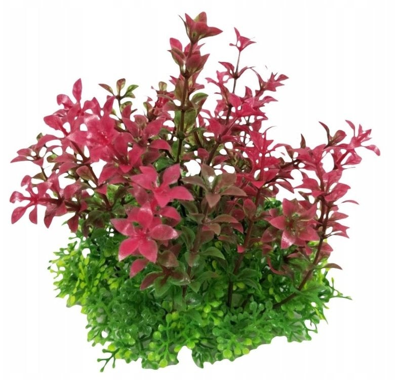 Terra Natura Aqua Natura, roślina, do dekoracji akwarium, fioletowa, plastikowa, 12 cm, szerokie gęste pędy z fioletowymi końcówkami