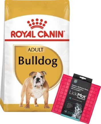 Royal Canin ROYAL CANIN Bulldog Adult 12kg karma sucha dla psów dorosłych rasy bulldog + LickiMat GRATIS