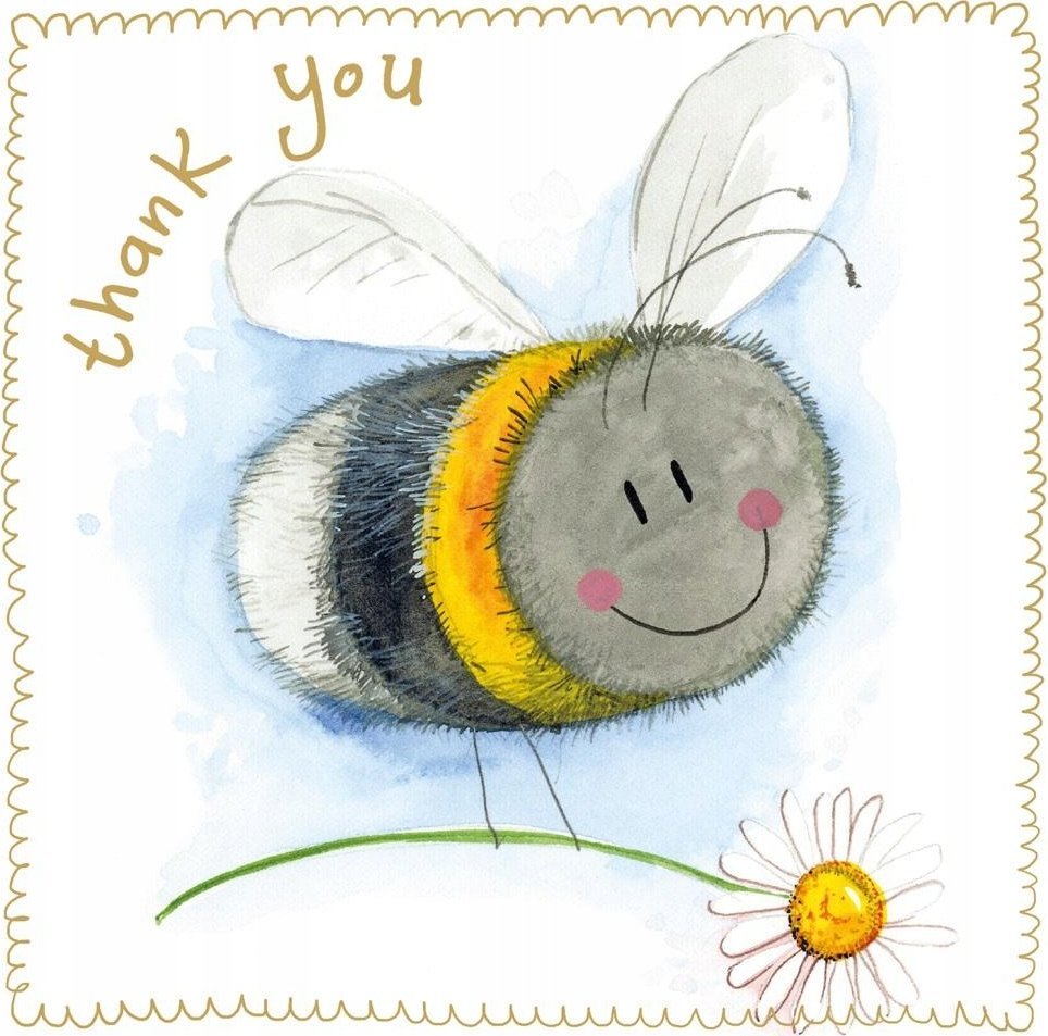 Teka Karnet Dziękuję S560 Pszczoła i stokrotka