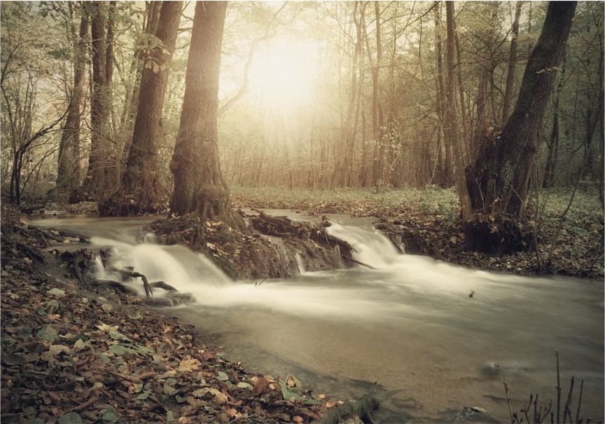 DecoNest Fototapeta - Leśna kaskada - 300X210