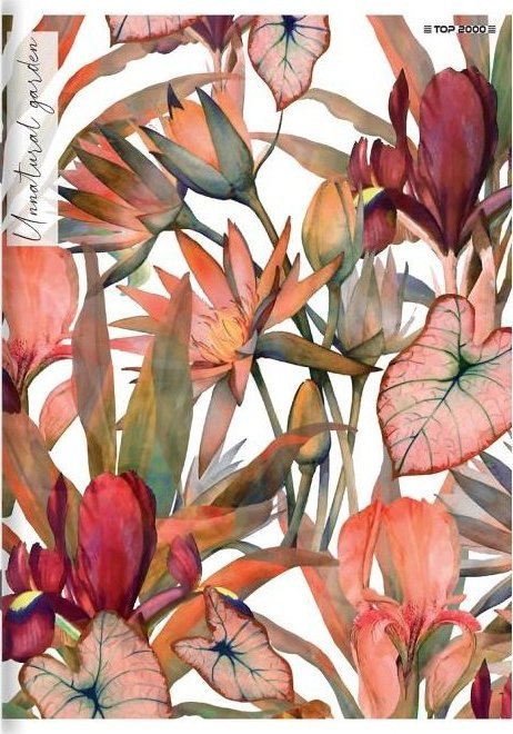 Top 2000 Zeszyt Top2000 Miękka Okładka Linia A5 60K Mix Okładek