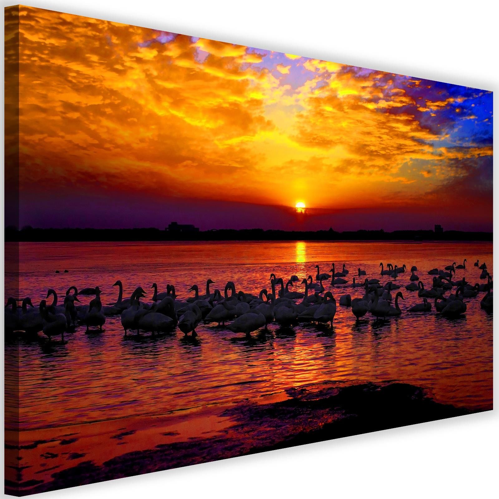 Feeby Obraz na płótnie - Canvas, Łabędzie na brzegu jeziora 3 60x40