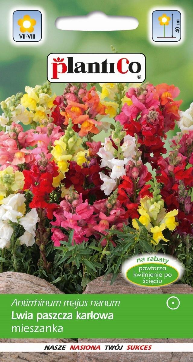 Plantico Lwia Paszcza Karłowa Mieszanka 0,5g