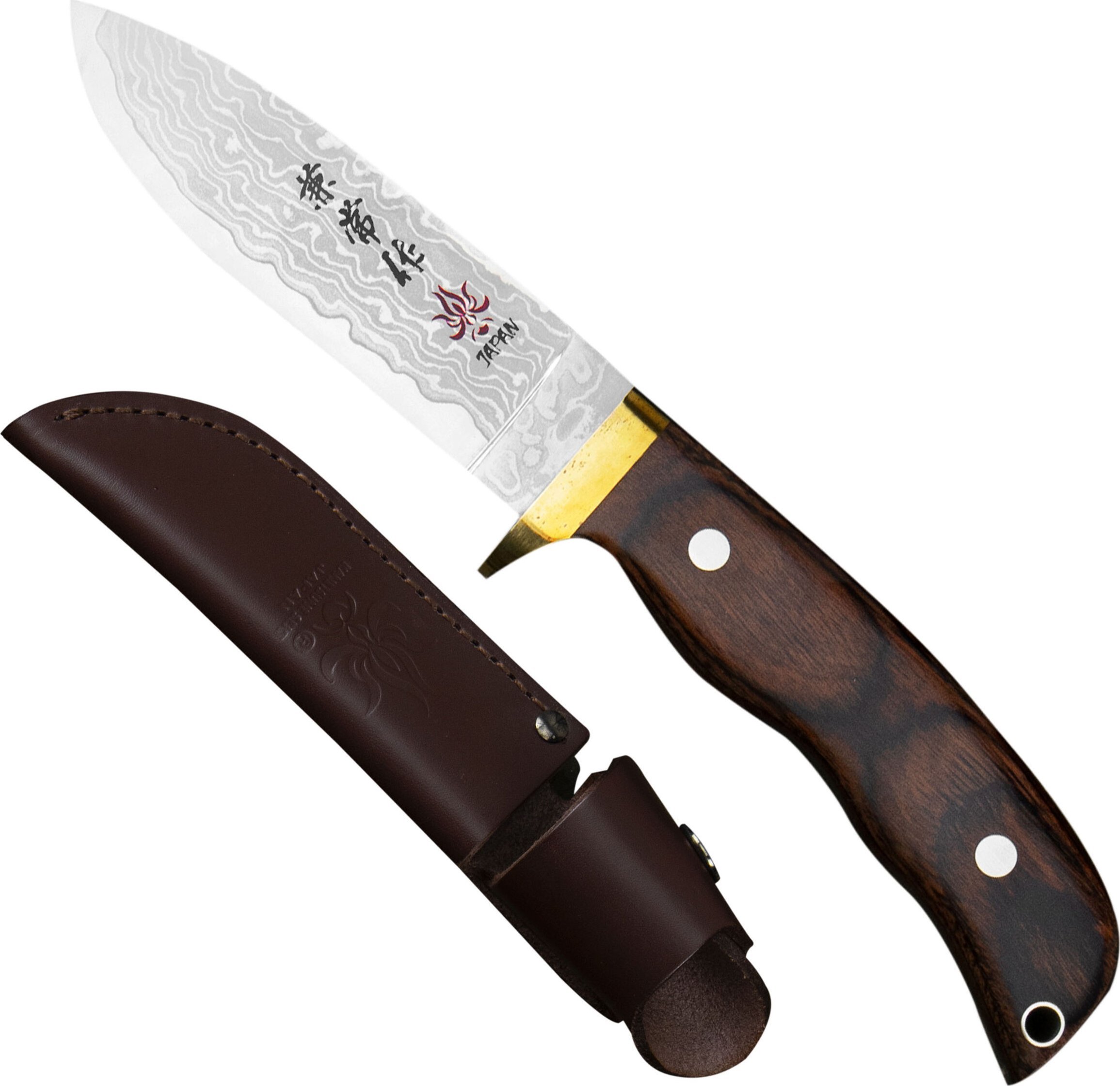 Kanetsune Seki Kanetsune VG-10 Subaru Drop Point 10 cm