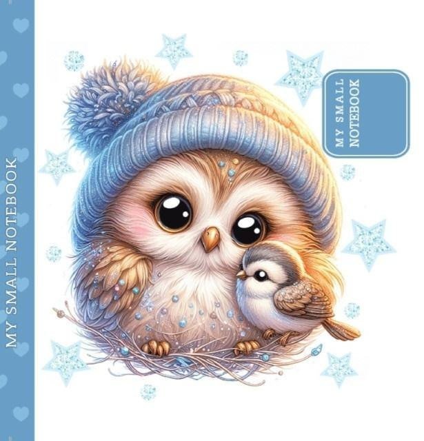 Notatnik ozdobny 100x100 48 stron gładki TW Sówka