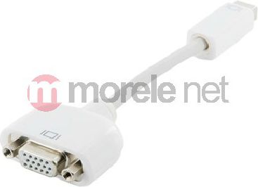 Kabel 4World 0.2m biały (8733)