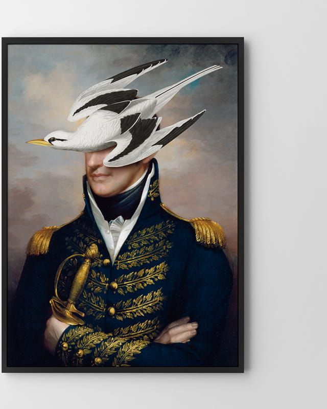 Hog Studio New Commander (Płótno 50x70cm)