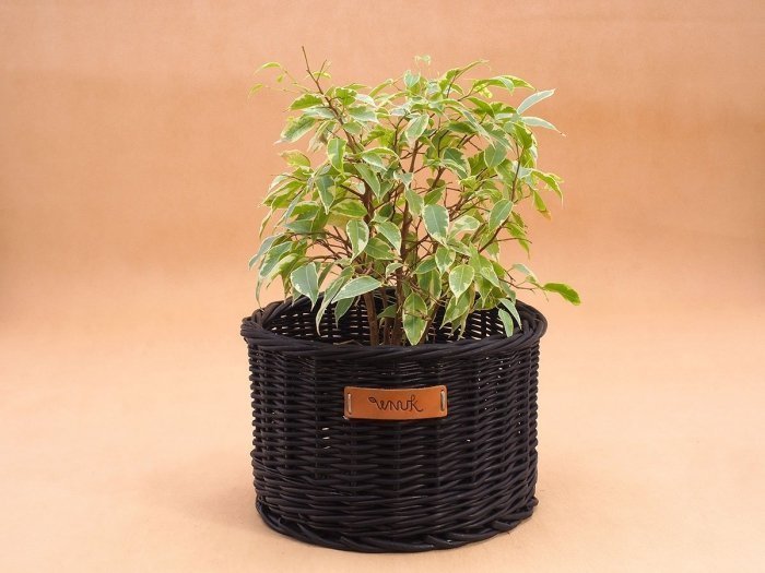 Wnuk Osłonka na doniczkę (Czarna/24cm)