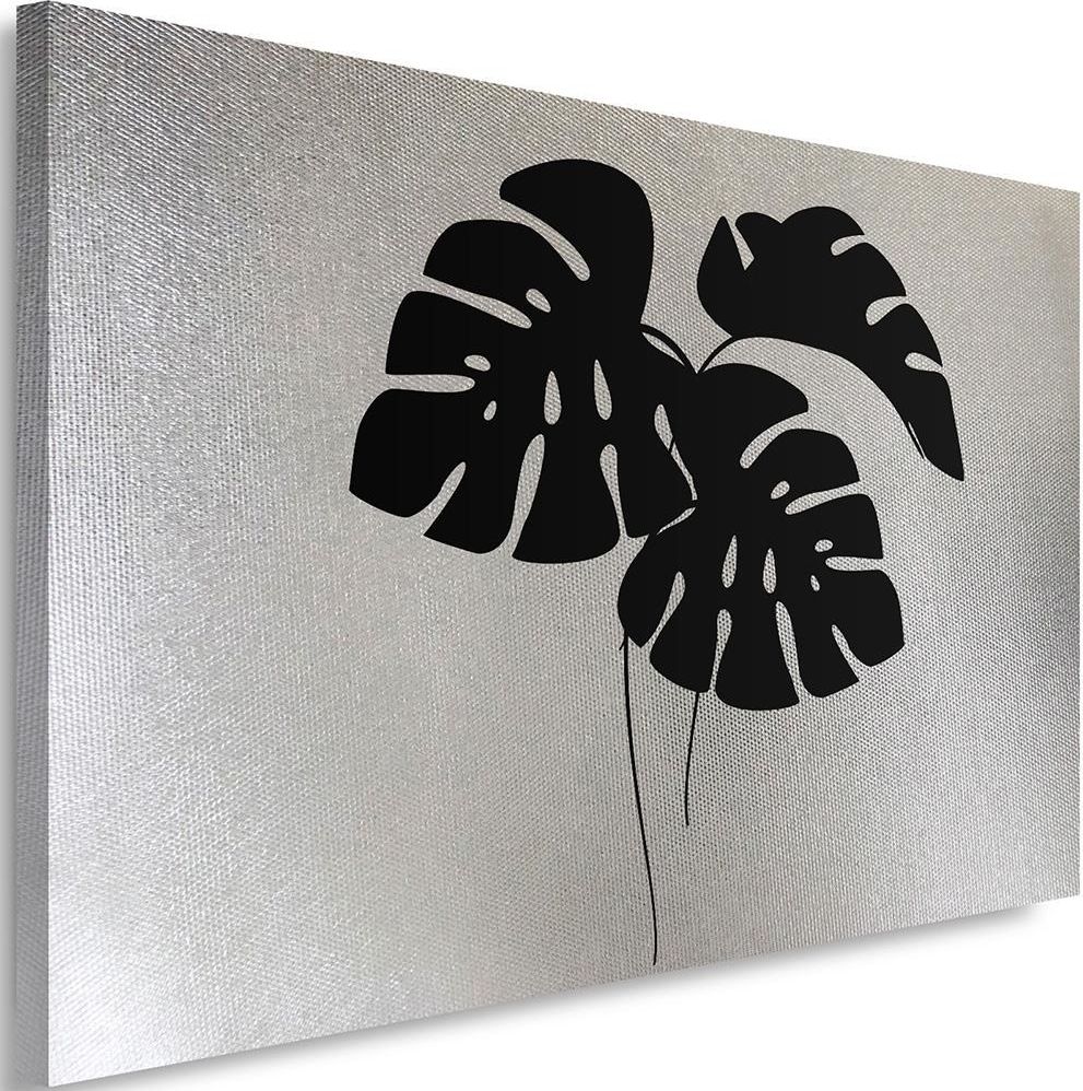 Feeby Obraz na płótnie - Canvas, Tropikalne liście Monstera 1 120x80