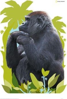decofun Naklejka Goryl National Geographic