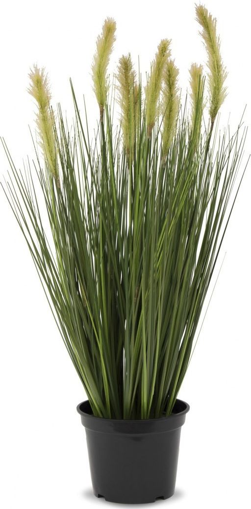 Art-Pol Roślina Dekoracyjna