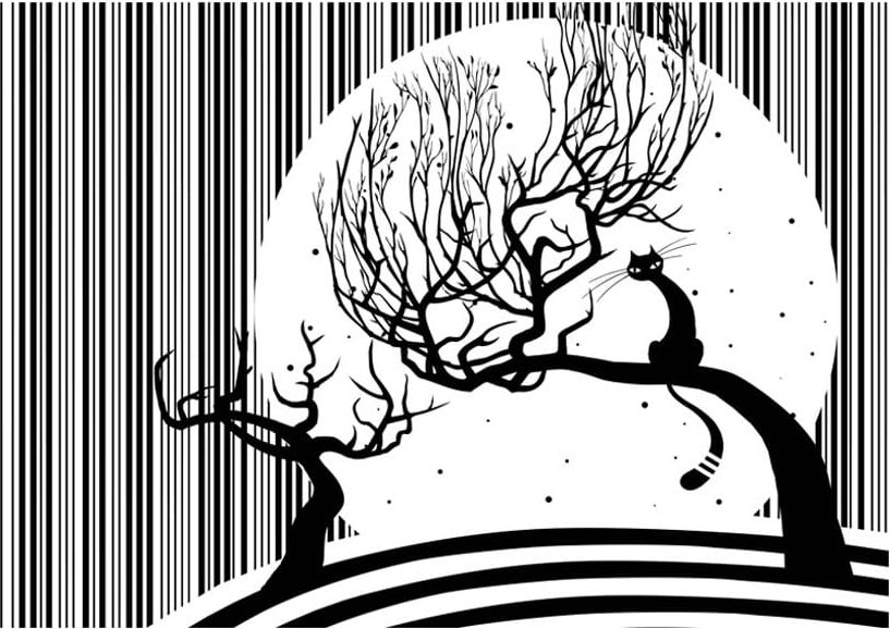 DecoNest Fototapeta - Kocia melodia II - 250X175