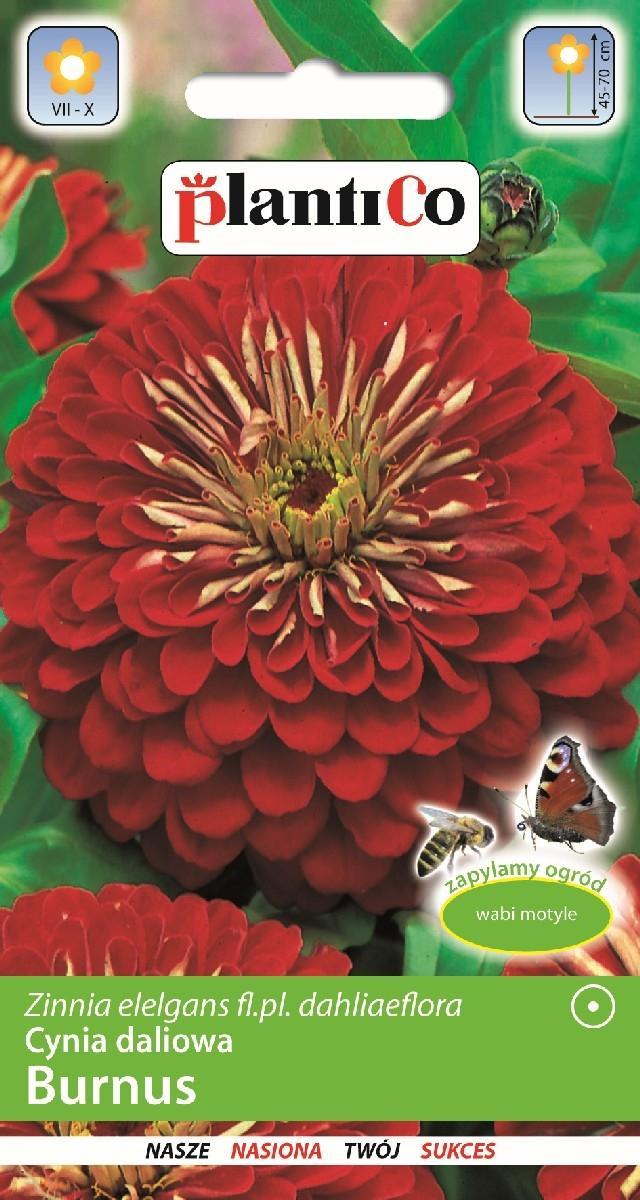 Plantico Cynia Daliowa Burnus 1g