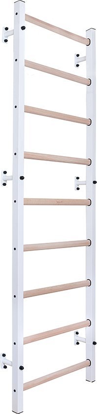 BenchK Drabinka gimnastyczna BenchK 710W