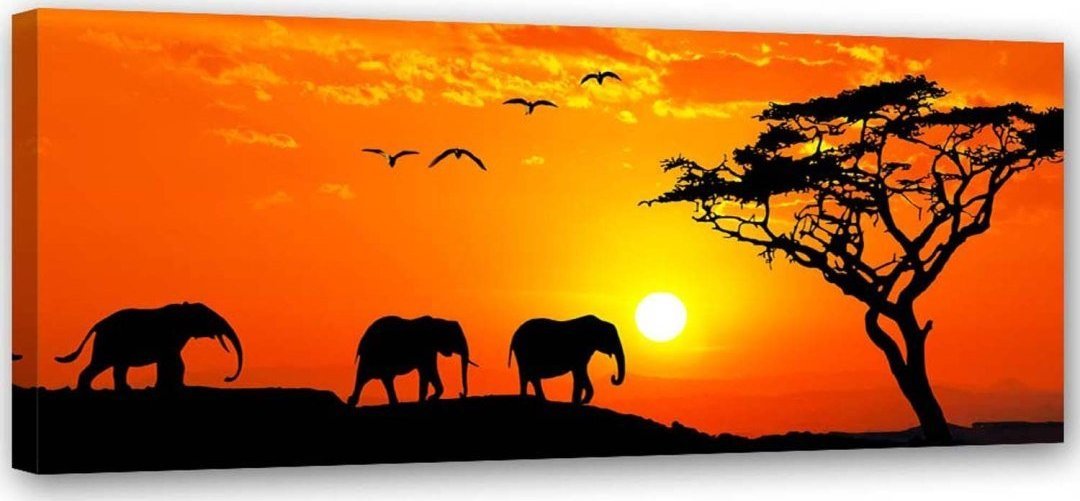 Feeby Obraz na płótnie, Panorama sawanny w Afryce - 120x40