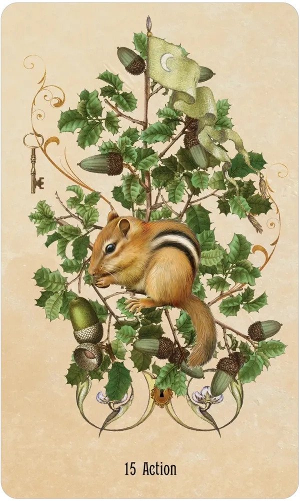 Unlocking the Secret Garden Oracle SCG44