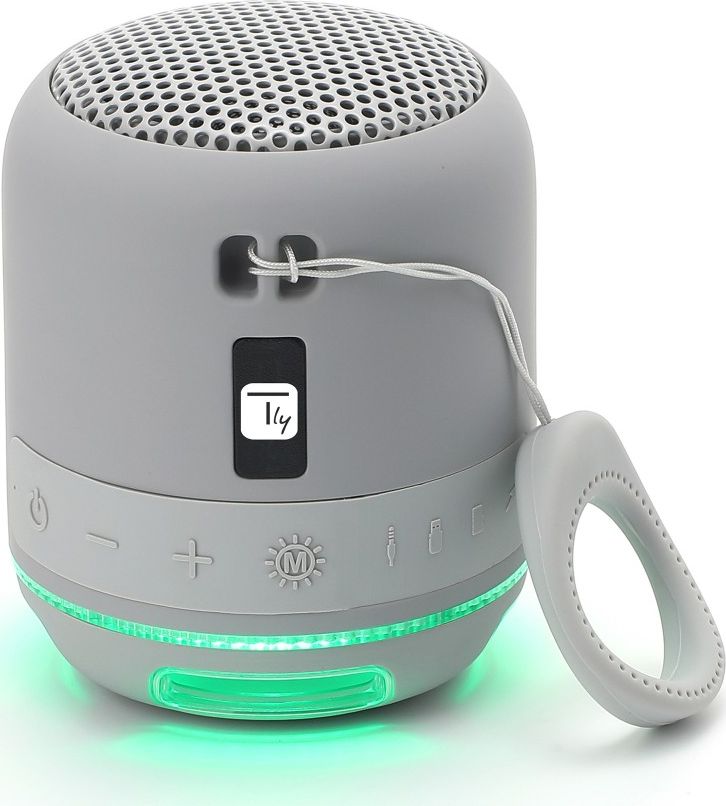 Głośnik Techly ICASBL94GR szary